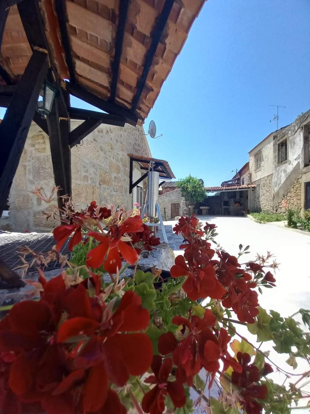 Quinta Do Cruzeiro Βίλα Mata  Εξωτερικό φωτογραφία